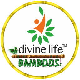 DivineBamboo